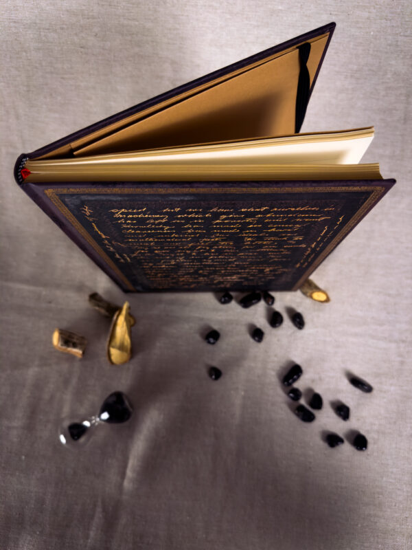 Paperblanks – Celebrating Charlie Chaplin Capa Dura - Imagem 4